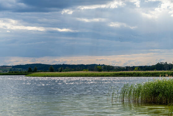 Seewanderung: Oberuckersee
