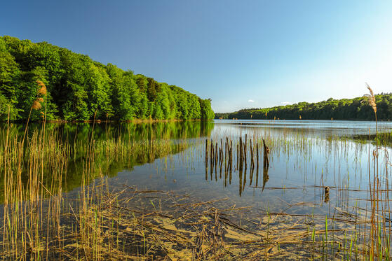 Seewanderung: Peetschsee
