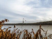 Petersdorfer See (BS)