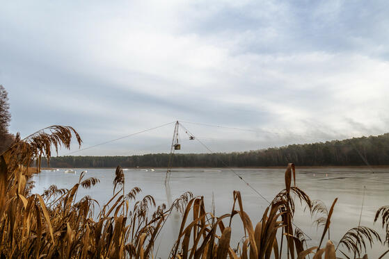 Seewanderung: Petersdorfer See (Bad Saarow)
