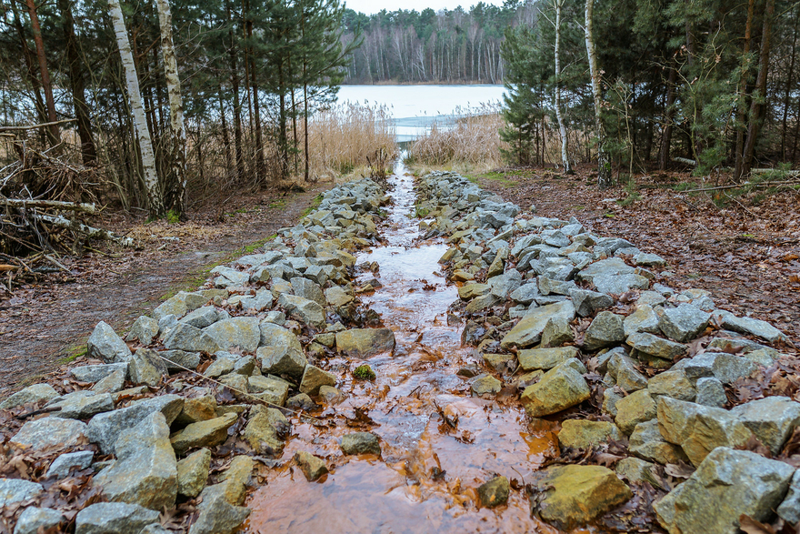 Pinnower See
