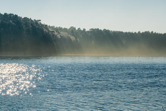 Seewanderung: Röddelinsee, Großer Lankensee und Kleiner Kuhwallsee
