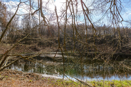 Seewanderung: Röthsee, Langer See, Dümpel und Buchsee