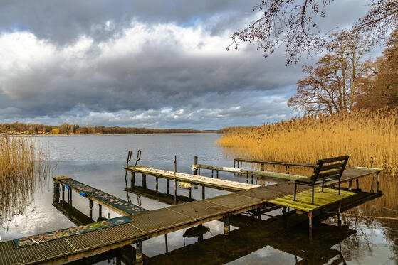 Seewanderung: Ruppiner See (Nordteil)