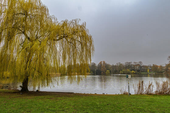 Seewanderung: Schäfersee