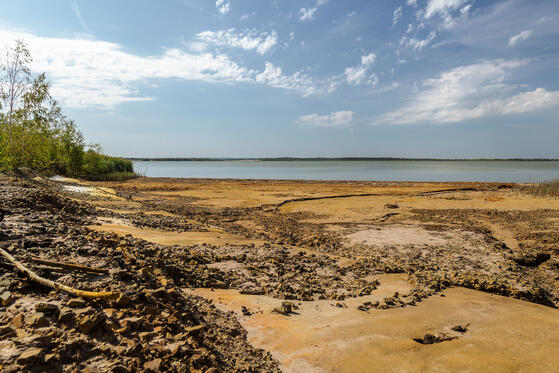 Schlabendorfer See Landschaft