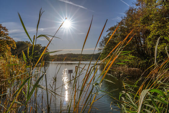 Seewanderung: Kleiner und Großer Schmielensee und Schwarzer See entlang am Gabelsee