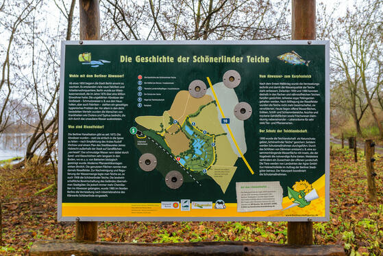 Schönerlinder Teiche