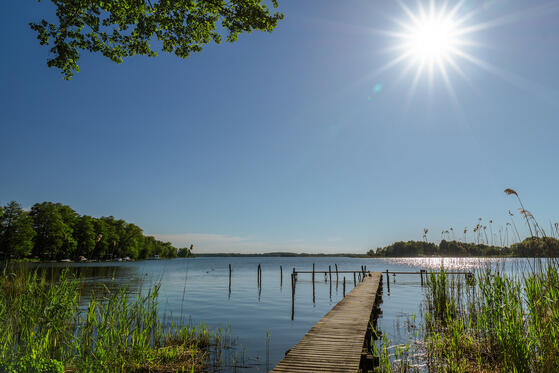 Seewanderung: Schwielochsee (Teil 1)