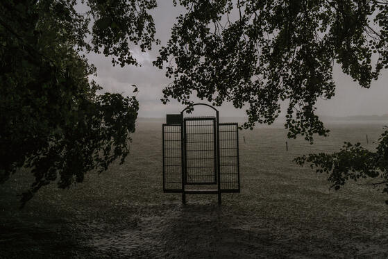 Seewanderung: Schwielochsee (Teil 2)