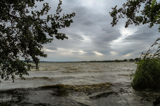 Seewanderung: Schwielowsee