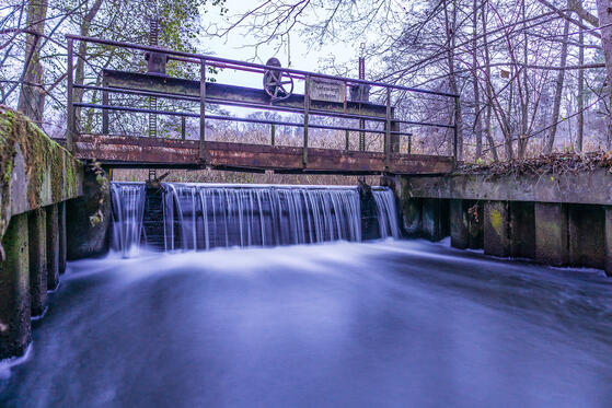 Seewanderung: Stafsee