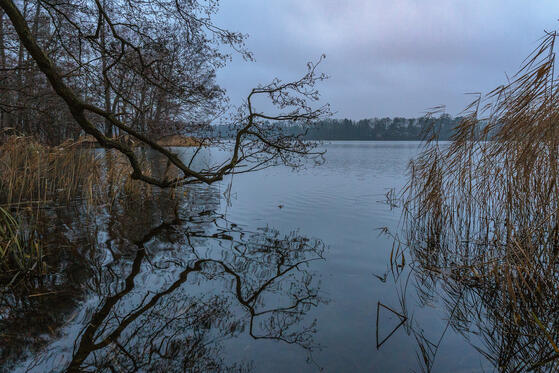 Seewanderung: Summter See