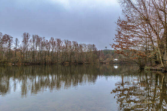 Seewanderung: Teufelssee (Grunewald)