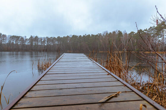 Seewanderung: Großer und Kleiner Tonteich