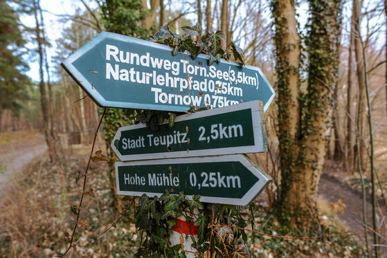 Seewanderung: Tornower See
