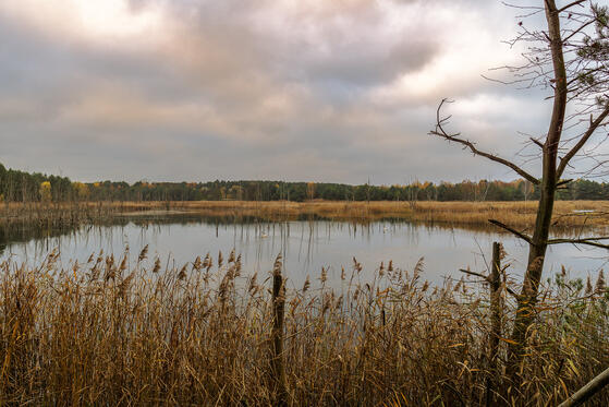 Seewanderung: Trottheidestich