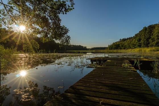 Seewanderung: Kapellensee, Kellsee, Twernsee und Rochowsee