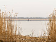 Unteruckersee (Ostufer)