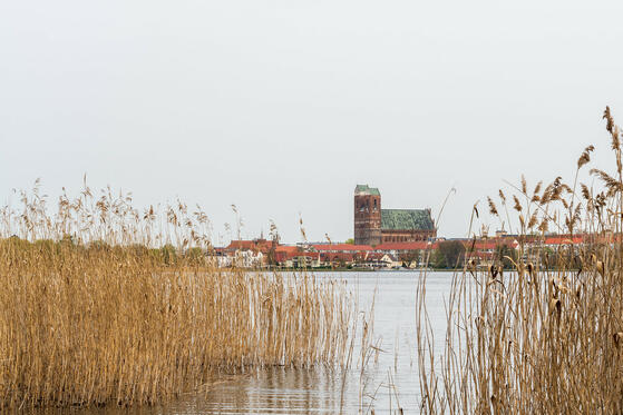 Seewanderung: Unteruckersee (Westufer)