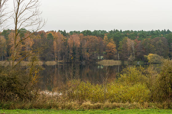 Seewanderung: Vielitzsee