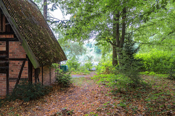 Seewanderung: Waldsee 