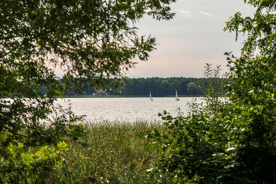 Seewanderung: Wandlitzsee