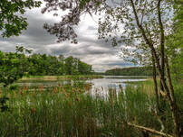 Kleiner Werbellinsee
