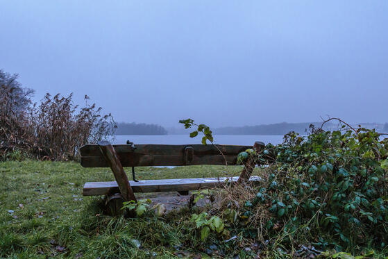 Seewanderung: Werlsee und Priestersee