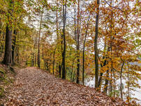 Wirchensee und Stubbensee