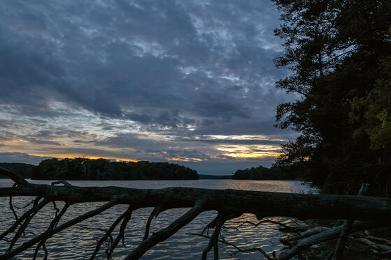 Seewanderung: Wolletzsee und Heiliger See