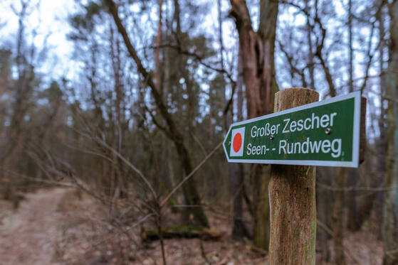 Seewanderung: Großer und Kleiner Zeschsee