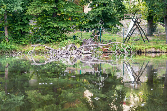 Seewanderung: Ziegeleisee und Hermsdorfer See