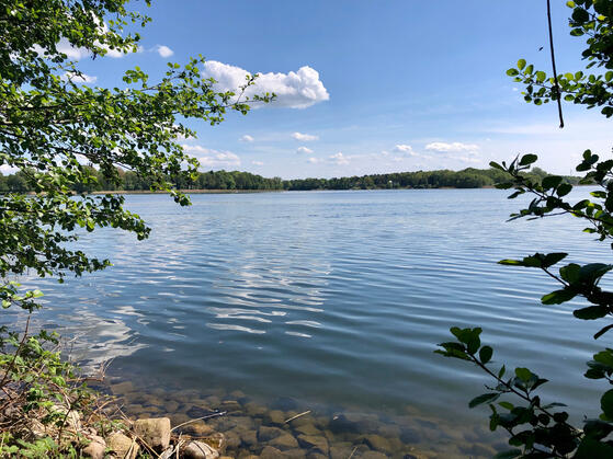 Paddeln, Angeln und Schippern im Ruppiner Seenland