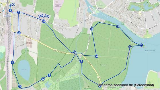 Ein Fasan ist der Erklärbär von Königs Wusterhausen