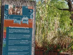 Regenwassernutzung