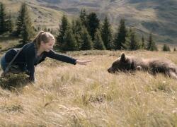 Clara und das Geheimnis der Bären