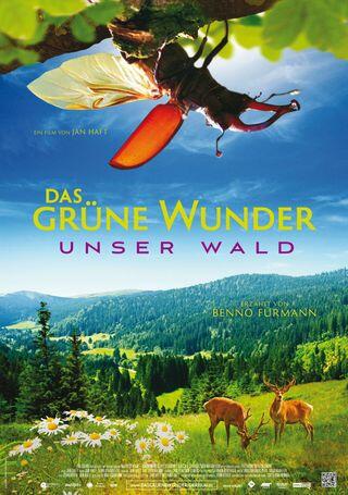 Das grüne Wunder – Unser Wald
