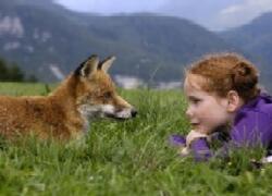 Der Fuchs und das Mädchen