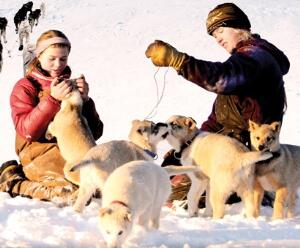 Die Familie mit den Schlittenhunden
