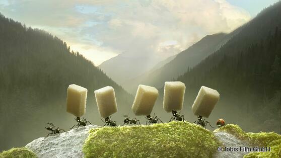 Die Winzlinge – Operation Zuckerdose