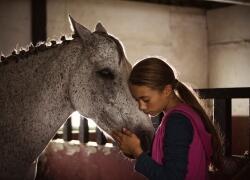 Ein Pferd für Klara