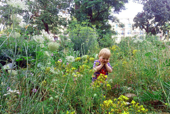 Raus in die Stadt: Langer Tag der StadtNatur