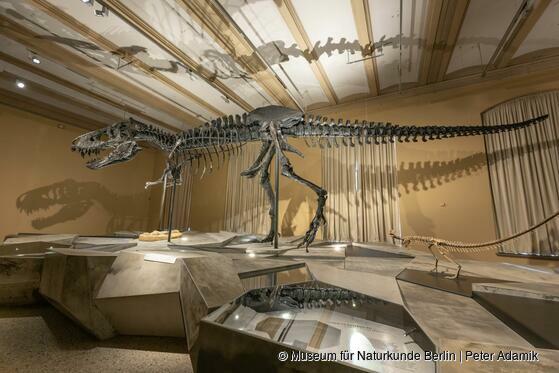 Dinosaurier! Zeitalter der Riesenechsen 