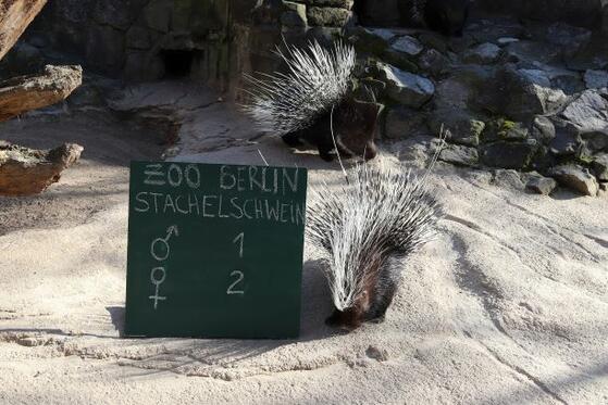 Zoo Berlin - der artenreichste Zoo der Welt